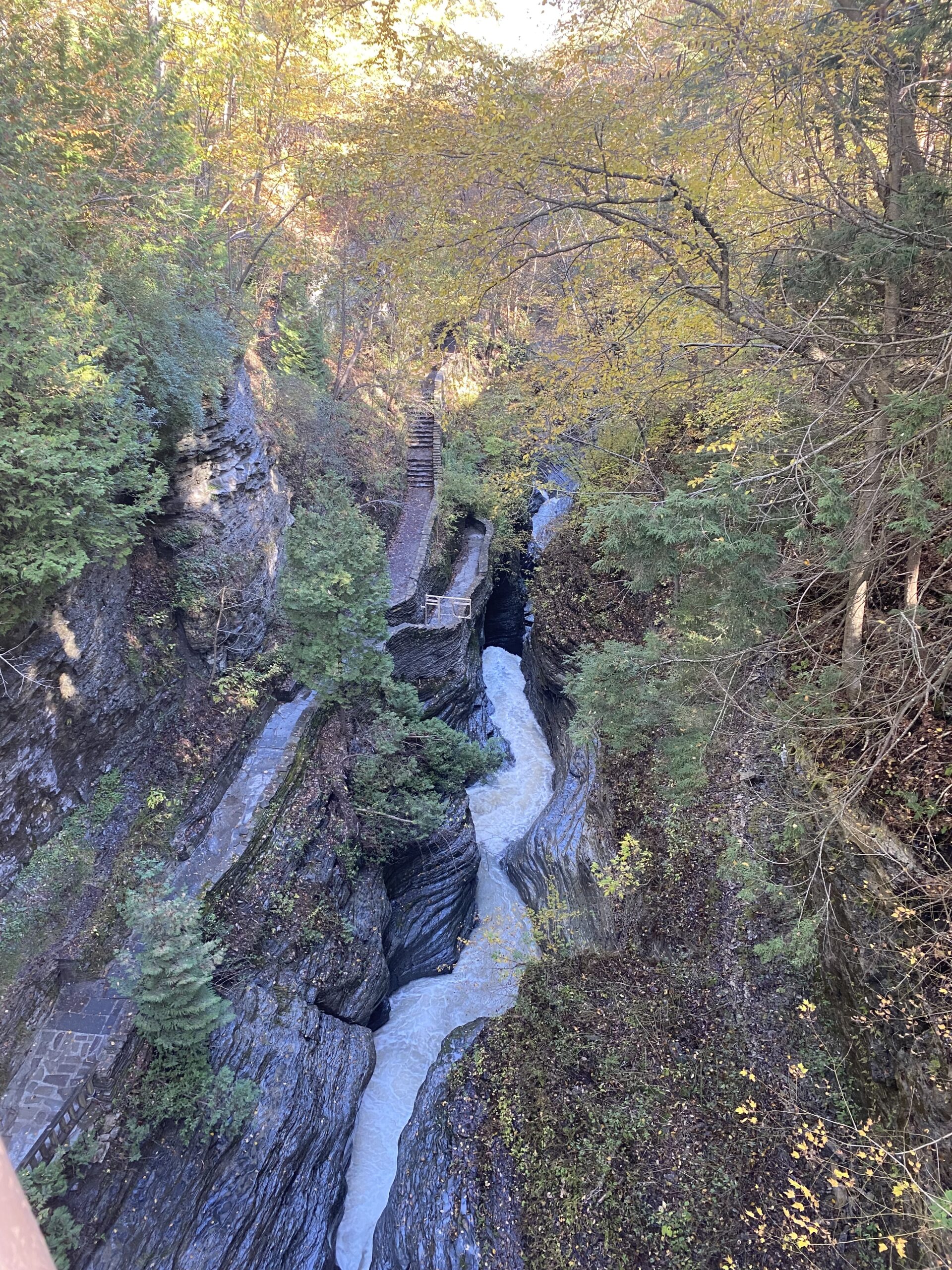 Watkins Glen State Park - Fall Foliage Road Trip
