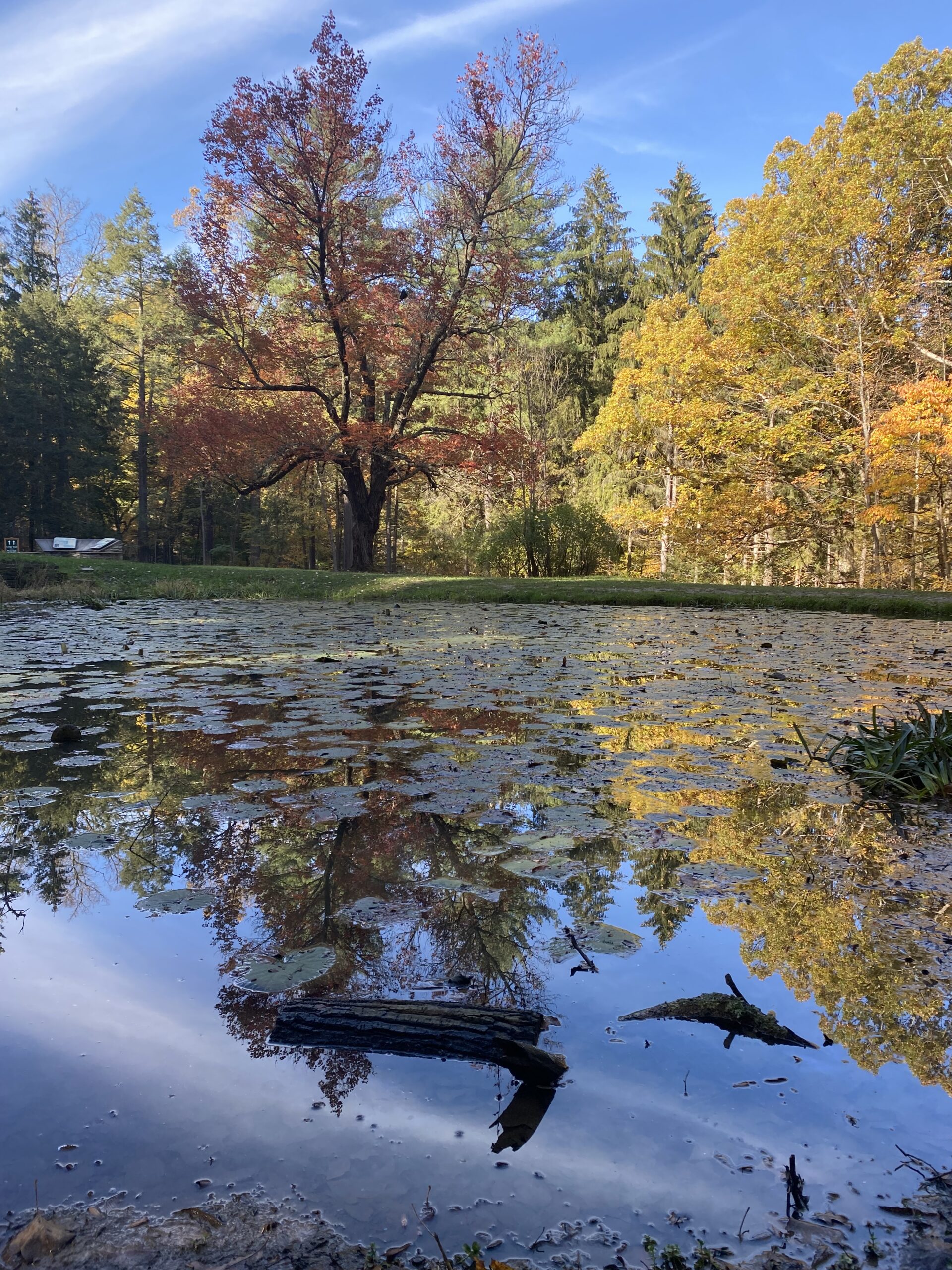 Watkins Glen State Park - Fall Foliage Road Trip