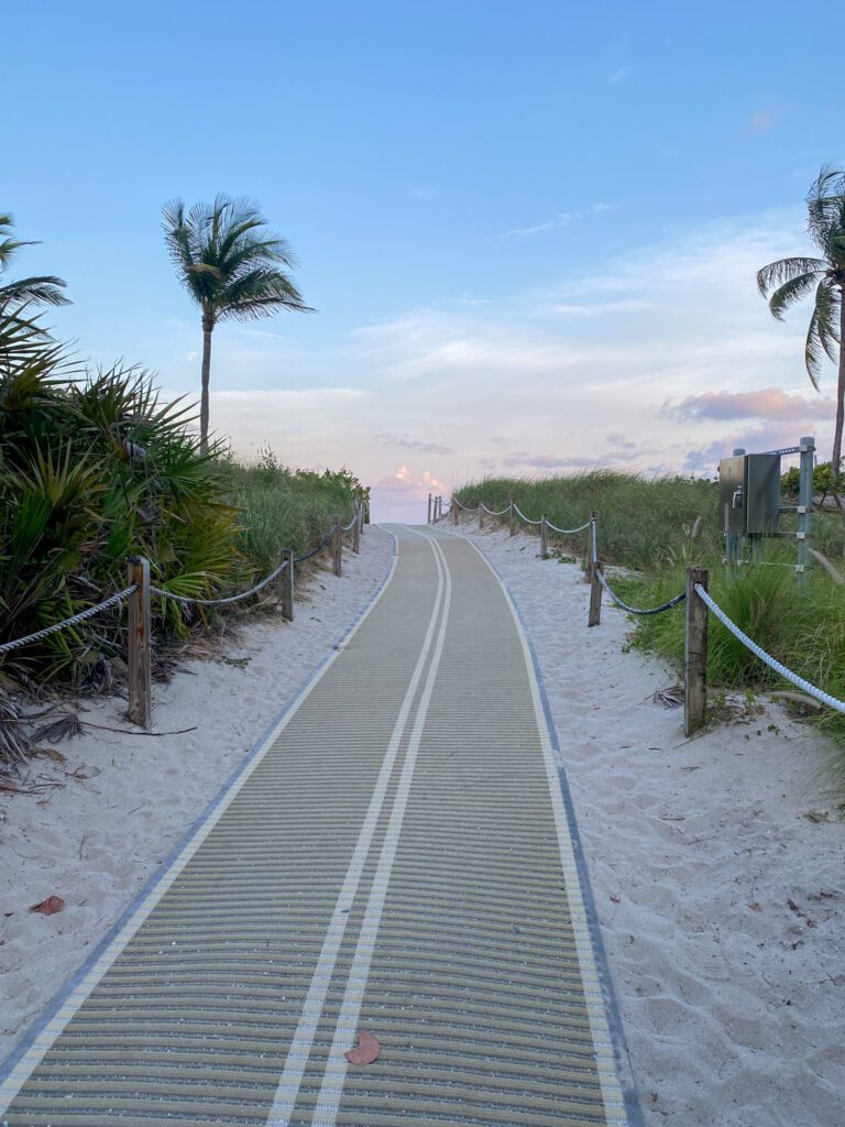 Miami Beach Travel Guide